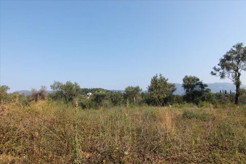 16000m² Land en Corfu, Greece No. 57922 26