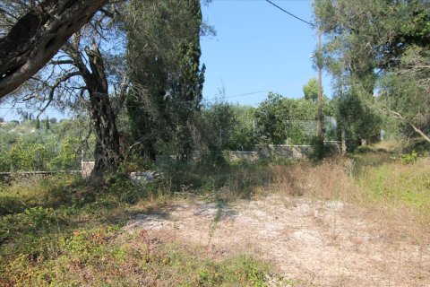 16000m² Land in Corfu, Greece No. 57922 17