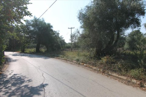 16000m² Land en Corfu, Greece No. 57922 4