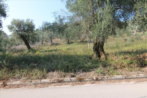 16000m² Land in Corfu, Greece No. 57922 5