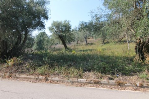 16000m² Land in Corfu, Greece No. 57922 1