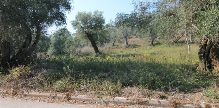 16000m² Land in Corfu, Greece No. 57922