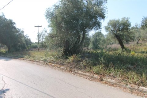 16000m² Land en Corfu, Greece No. 57922 3