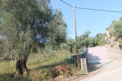 16000m² Land in Corfu, Greece No. 57922 7