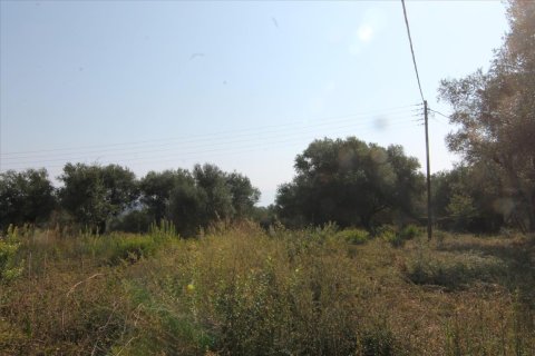 16000m² Land en Corfu, Greece No. 57922 29