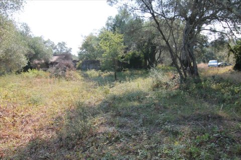 16000m² Land in Corfu, Greece No. 57922 24