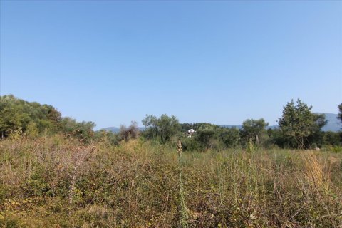 16000m² Land in Corfu, Greece No. 57922 25