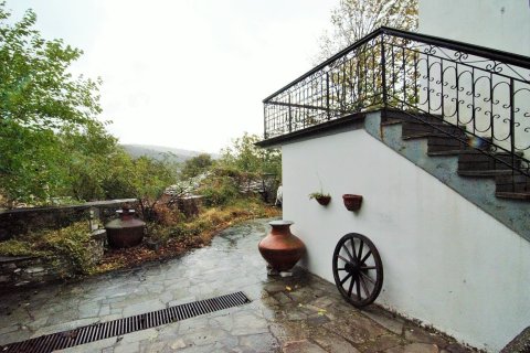 415m² House in Thasos, Greece No. 57774 4