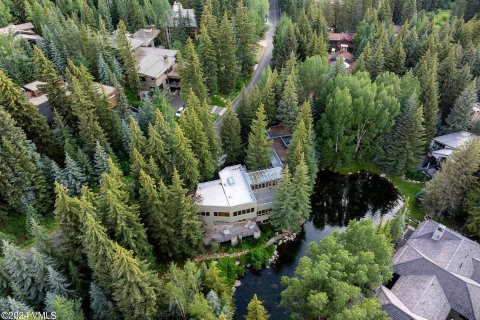 5 chambres House à Vail, USA No. 62065 11