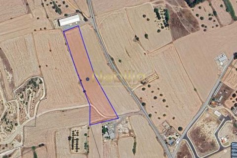 27092m² Land in Oroklini, Cyprus No. 76333 4