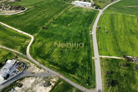 27092m² Land in Oroklini, Cyprus No. 76333 1