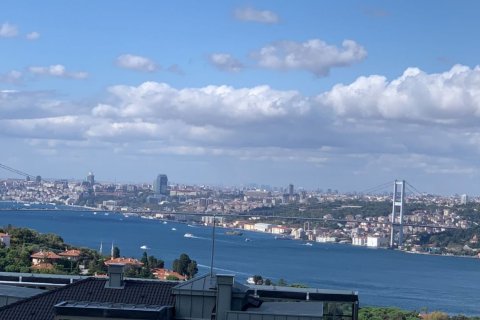 5+1 Apartment in Istanbul, Turkey No. 16369 1