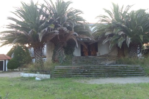 1200m² Negocio en Chalkidiki, Greece No. 58464 1