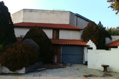 1200m² Business in Chalkidiki, Greece No. 58464 3