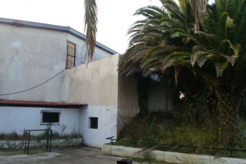 1200m² Negocio en Chalkidiki, Greece No. 58464 4