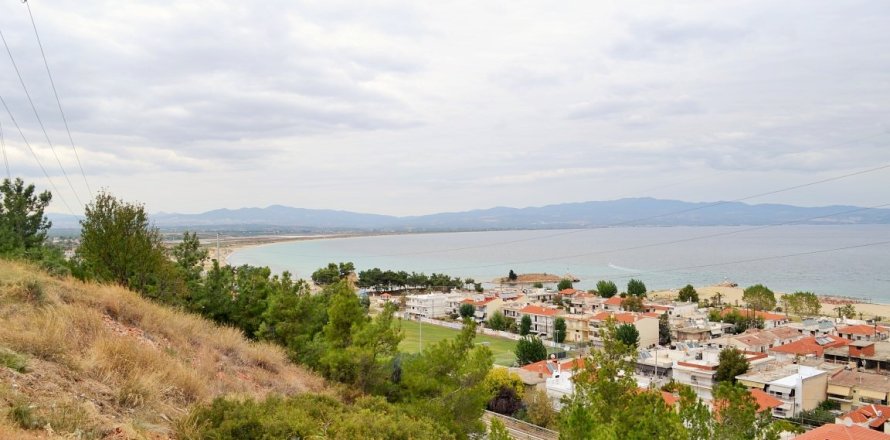 700m² Land en Chalkidiki, Greece No. 58478