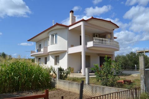 5 chambres House à Chalkidiki, Greece No. 58475 2