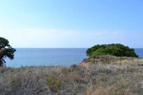 12375m² Land in Chalkidiki, Greece No. 58477 7