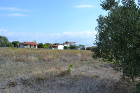 12375m² Land à Chalkidiki, Greece No. 58477 5