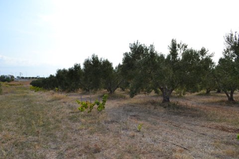 12375m² Land à Chalkidiki, Greece No. 58477 6