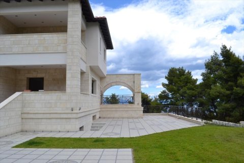 7 chambres Villa à Chalkidiki, Greece No. 59203 25