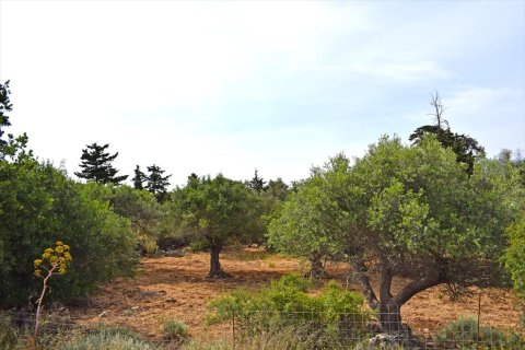 20000m² Land in Vamos, Greece No. 59206 2