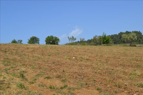 4650m² Land en Chalkidiki, Greece No. 59205 4