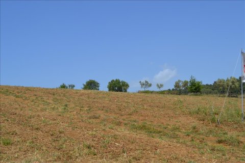 4650m² Land en Chalkidiki, Greece No. 59205 3