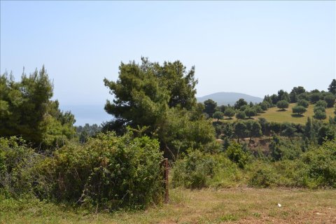 4650m² Land à Chalkidiki, Greece No. 59205 6