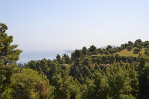 4650m² Land en Chalkidiki, Greece No. 59205 1