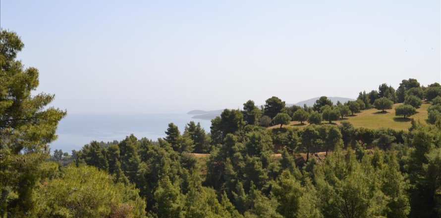 4650m² Land en Chalkidiki, Greece No. 59205