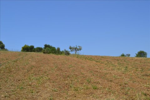 4650m² Land in Chalkidiki, Greece No. 59205 2