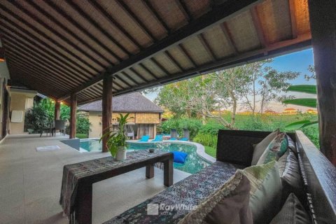 10 bedrooms Villa in Canggu, Indonesia No. 22868 22