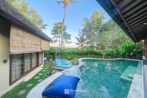 10 bedrooms Villa in Canggu, Indonesia No. 22868 12