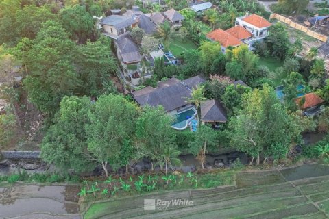 10 dormitorios Villa en Canggu, Indonesia No. 22868 6