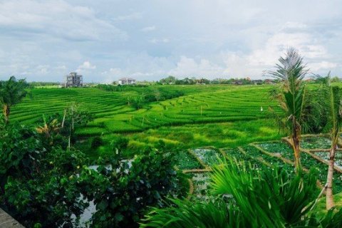 7 dormitorios Villa en Canggu, Indonesia No. 22867 15