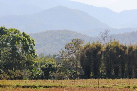 20 chambres Land à Chiang Mai, Thailand No. 1310 2