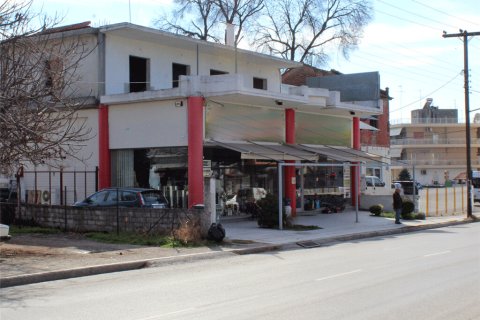 530m² Business in Dion, Greece No. 57570 1