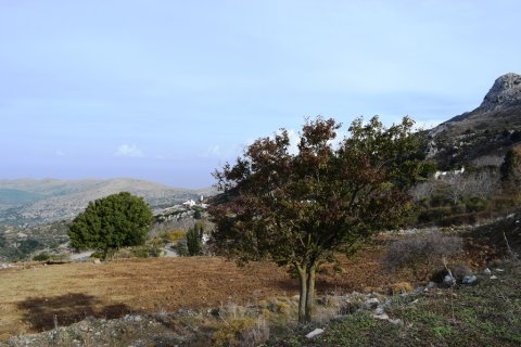 16903m² Land en Hersonissos, Greece No. 56821 2