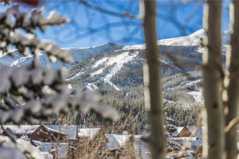 3 bedrooms Condo  in Breckenridge, USA No. 73502 30