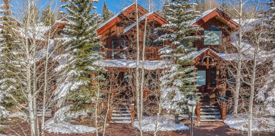 3 bedrooms Condo  in Breckenridge, USA No. 73502