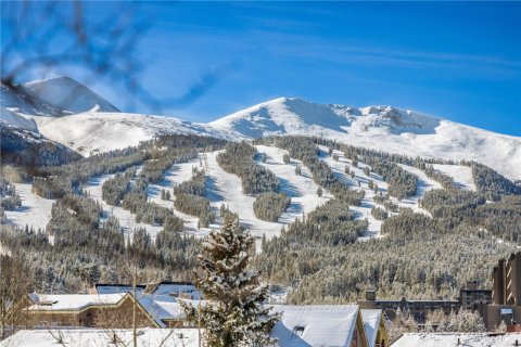 3 bedrooms Condo  in Breckenridge, USA No. 73502 29