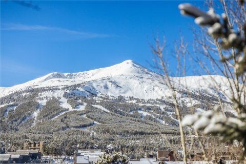 3 bedrooms Condo  in Breckenridge, USA No. 73502 28