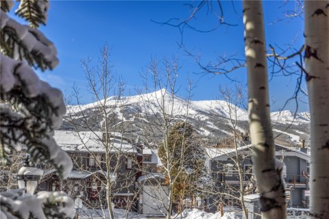 3 bedrooms Condo  in Breckenridge, USA No. 73502 27