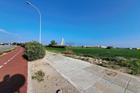 2163m² Land à Ayia Napa, Cyprus No. 35489 2