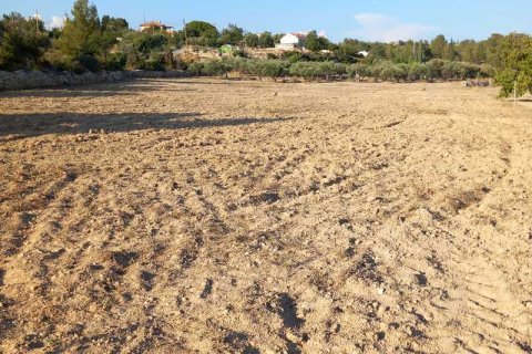 8300m² Land in Limassol, Cyprus No. 35487 1