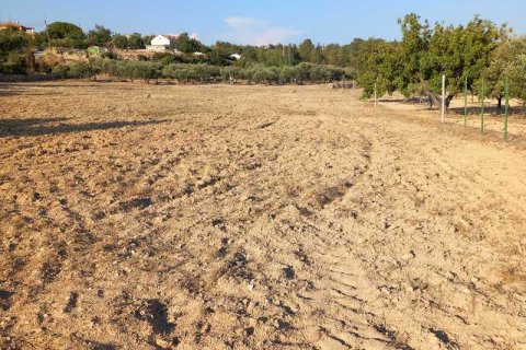 8300m² Land in Limassol, Cyprus No. 35487 5