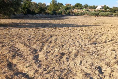 8300m² Land in Limassol, Cyprus No. 35487 3