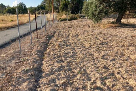 8300m² Land in Limassol, Cyprus No. 35487 4