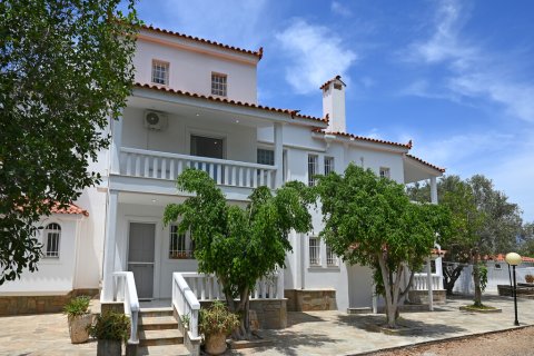 5 dormitorios Villa en Vilia, Greece No. 54303 7